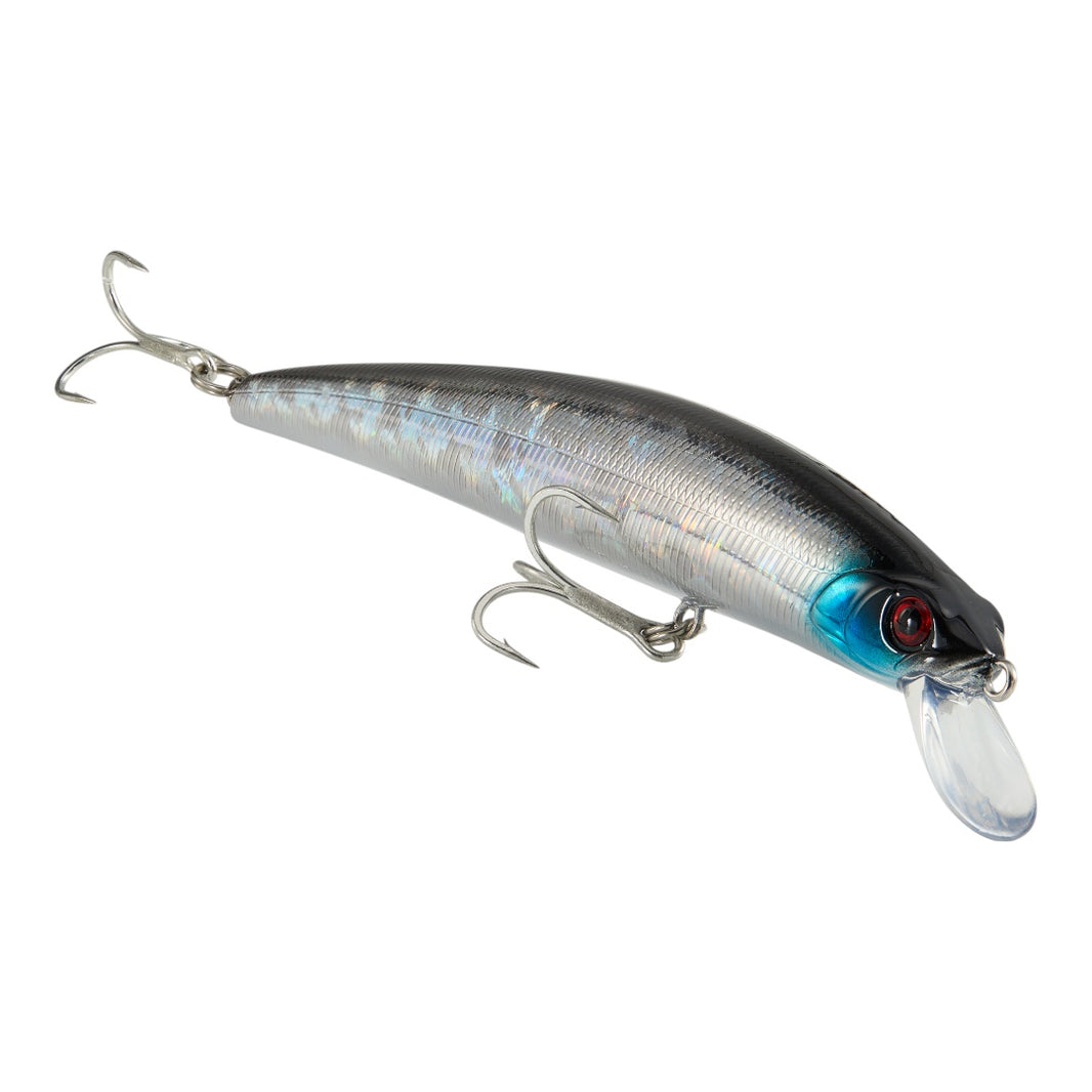 Sx Minnow