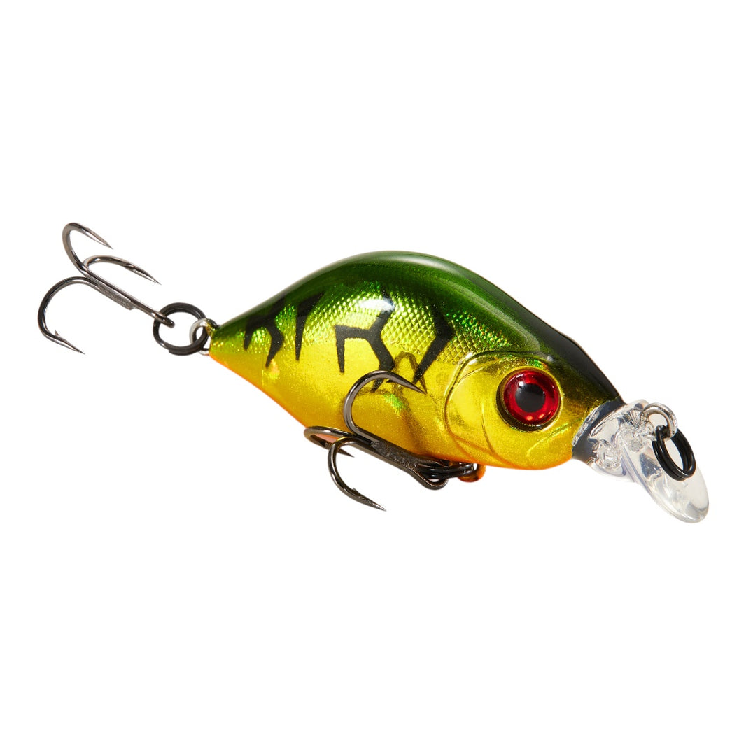 Hump Minnow