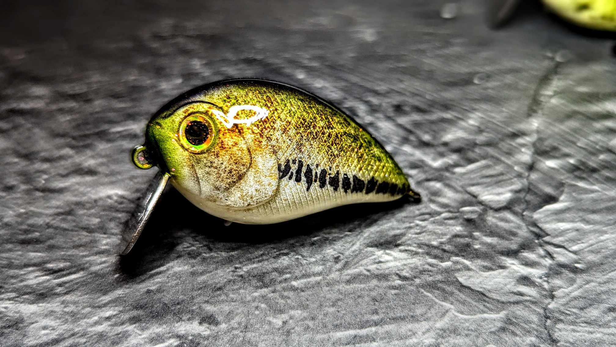 Exclusive Bull Shot 40