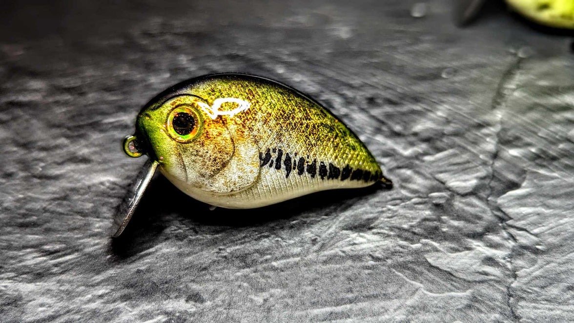 Exclusive Bull Shot 40