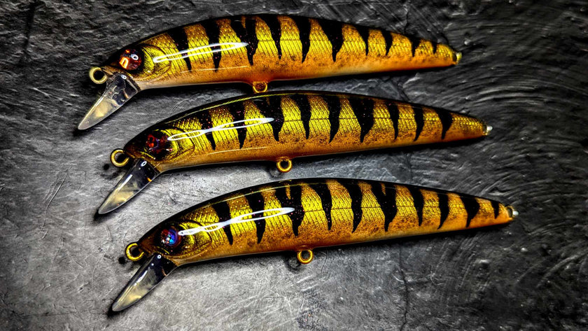Exclusive Sx Minnow