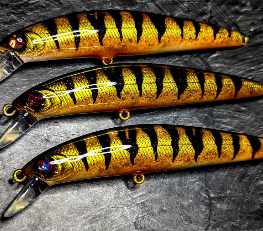 Exclusive Sx Minnow