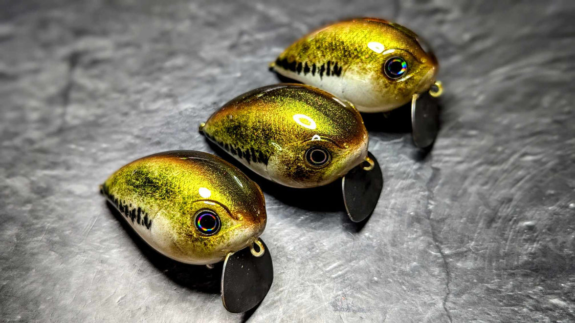 Exclusive Bull Shot 50