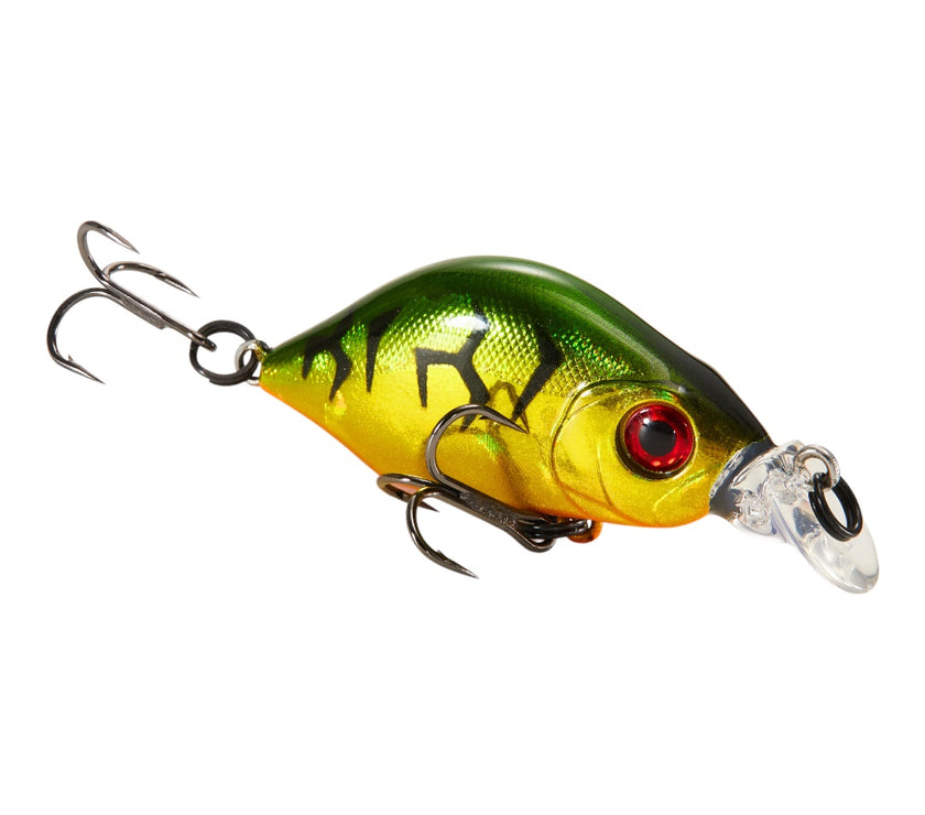 Hump Minnow