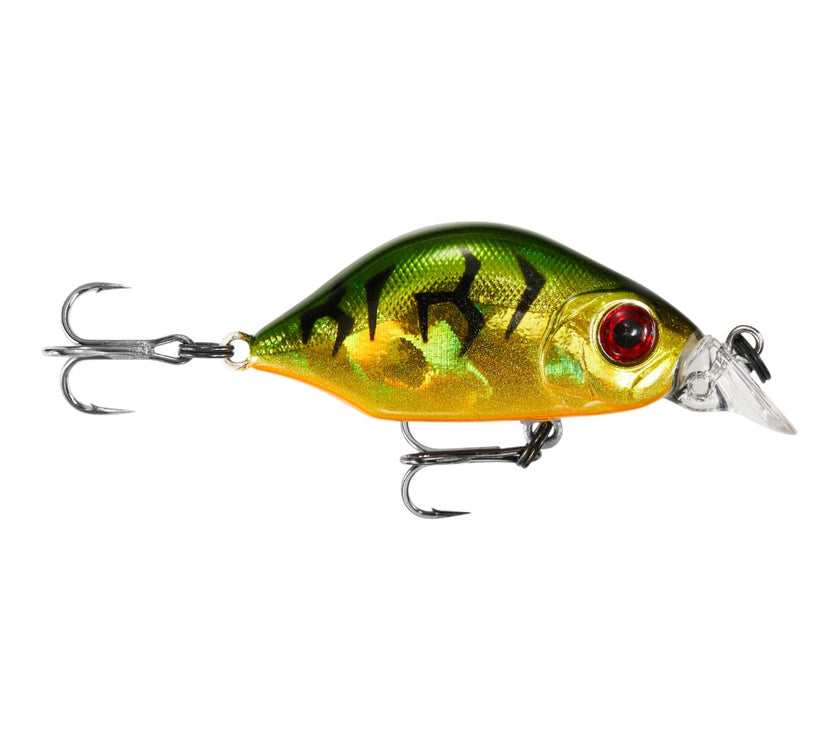Hump Minnow