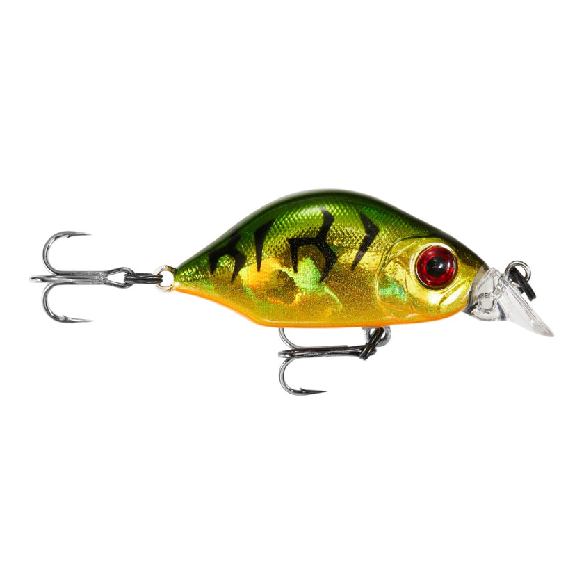 Hump Minnow