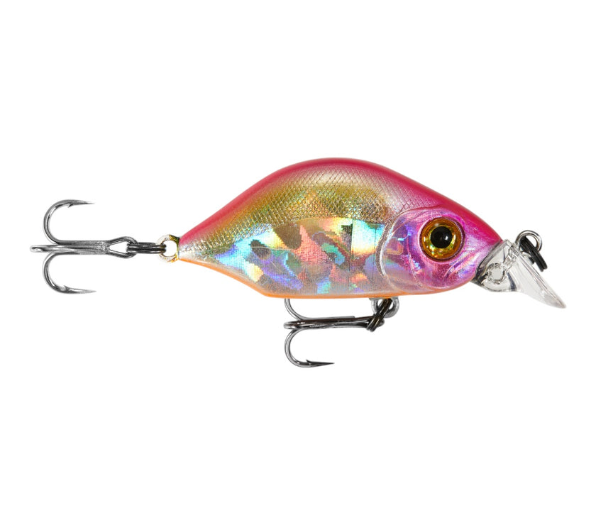 Hump Minnow