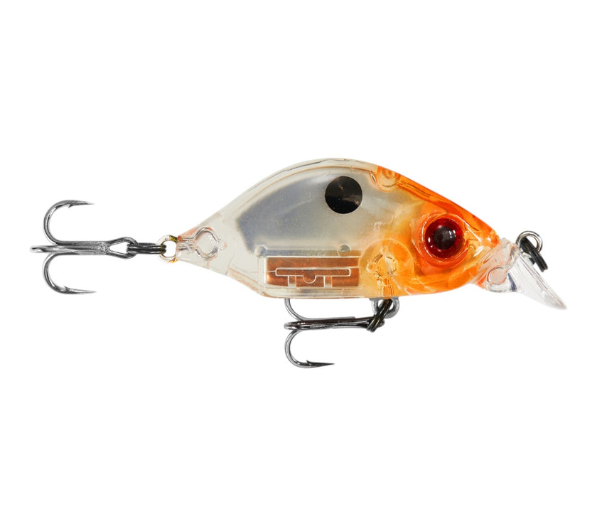 Hump Minnow