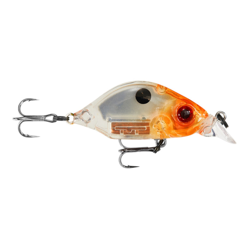 Hump Minnow