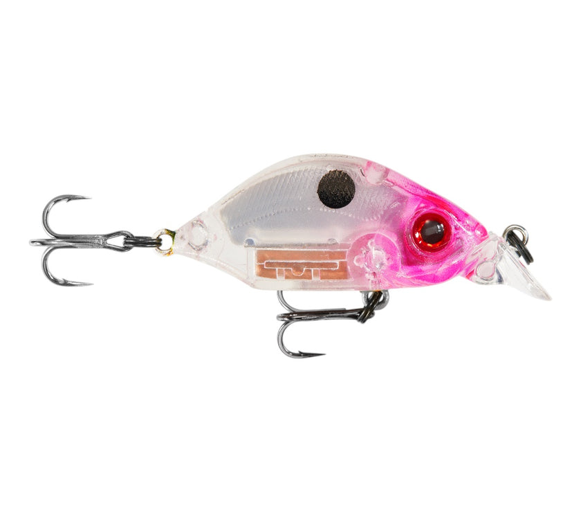 Hump Minnow