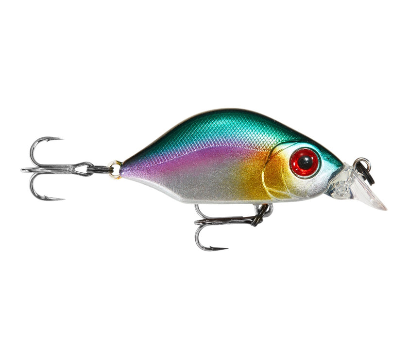 Hump Minnow