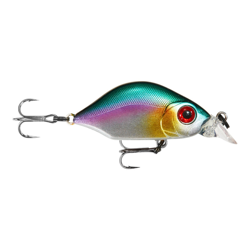 Hump Minnow