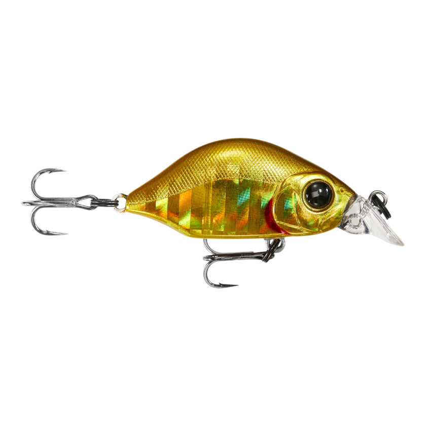 Hump Minnow
