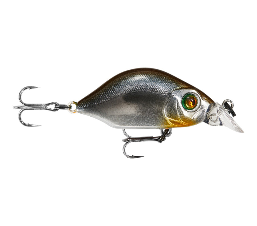 Hump Minnow