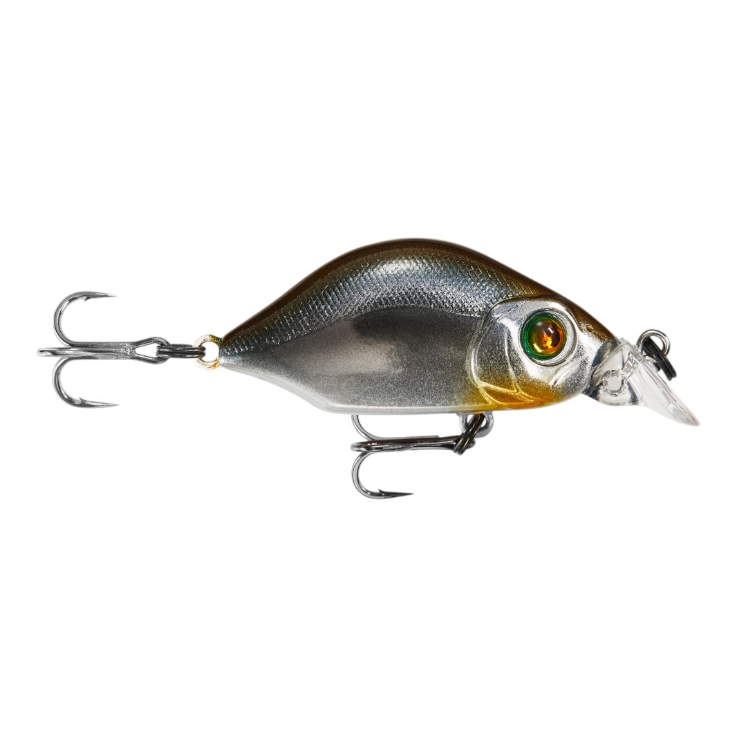 Hump Minnow