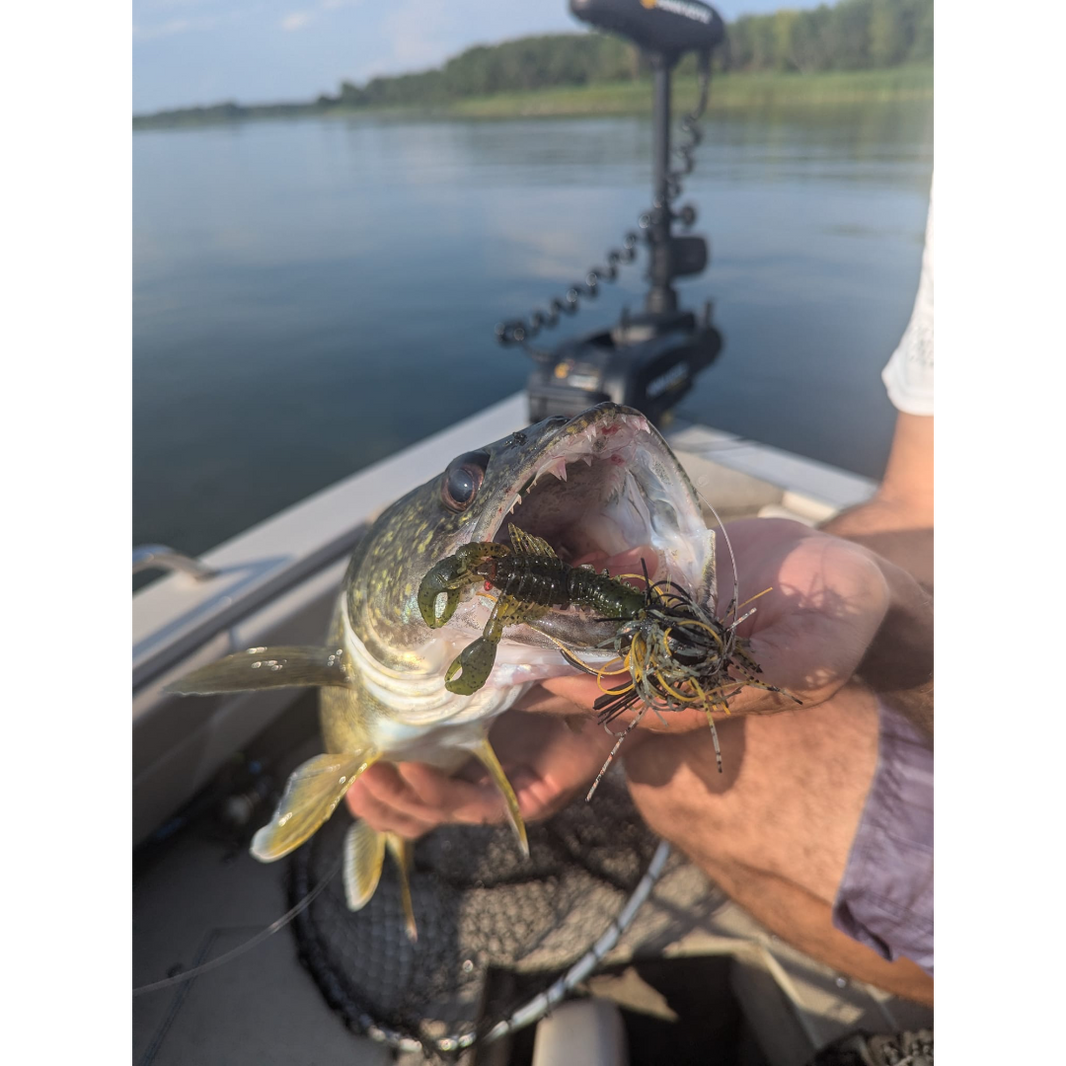 Mystery Box Walleye